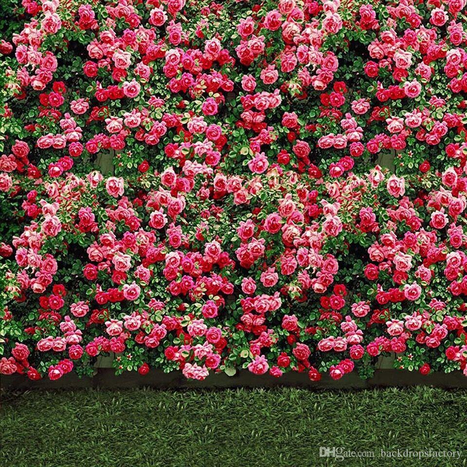 Outdoor Garden Photography Background - 960x960 Wallpaper 