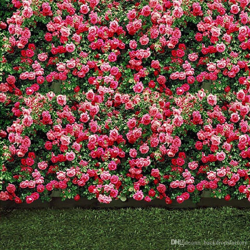 Outdoor Garden Photography Background - 960x960 Wallpaper Outdoor Garden Photography Background - 960x960 Wallpaper