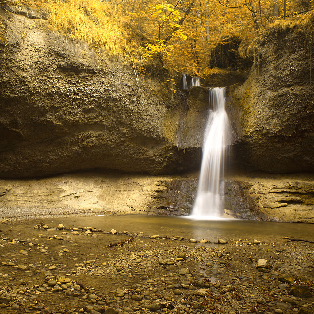 Wallpaper - HD Wallpaper 