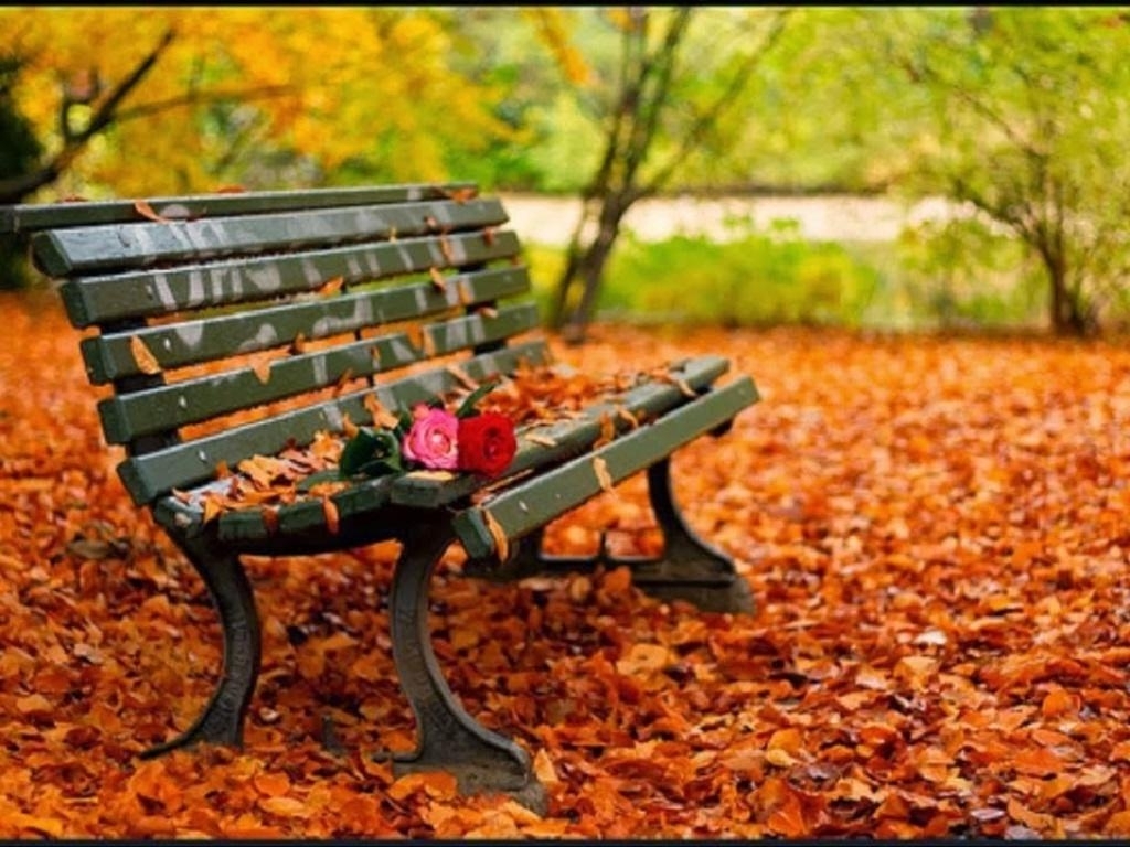 13 Creative Garden Chair Wallpaper Hd Collections - Outdoor Bench - 1024x768 Wallpaper 13 Creative Garden Chair Wallpaper Hd Collections - Outdoor Bench - 1024x768 Wallpaper