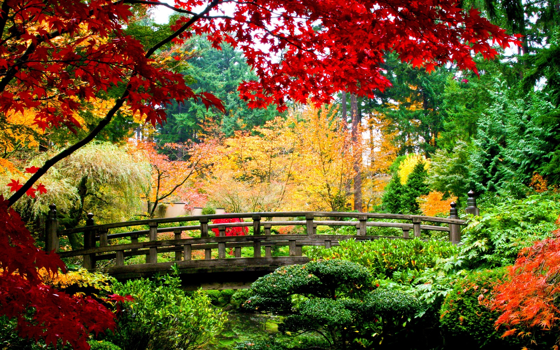 Asian Garden - Fond D Écran De Saison - HD Wallpaper 