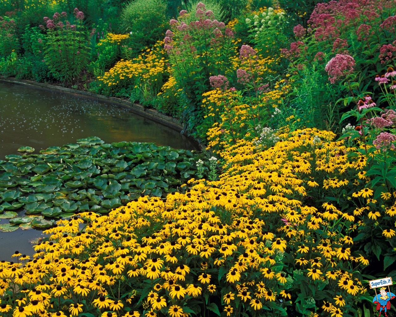 Botanical Gardens - Flores Para Parque - HD Wallpaper 