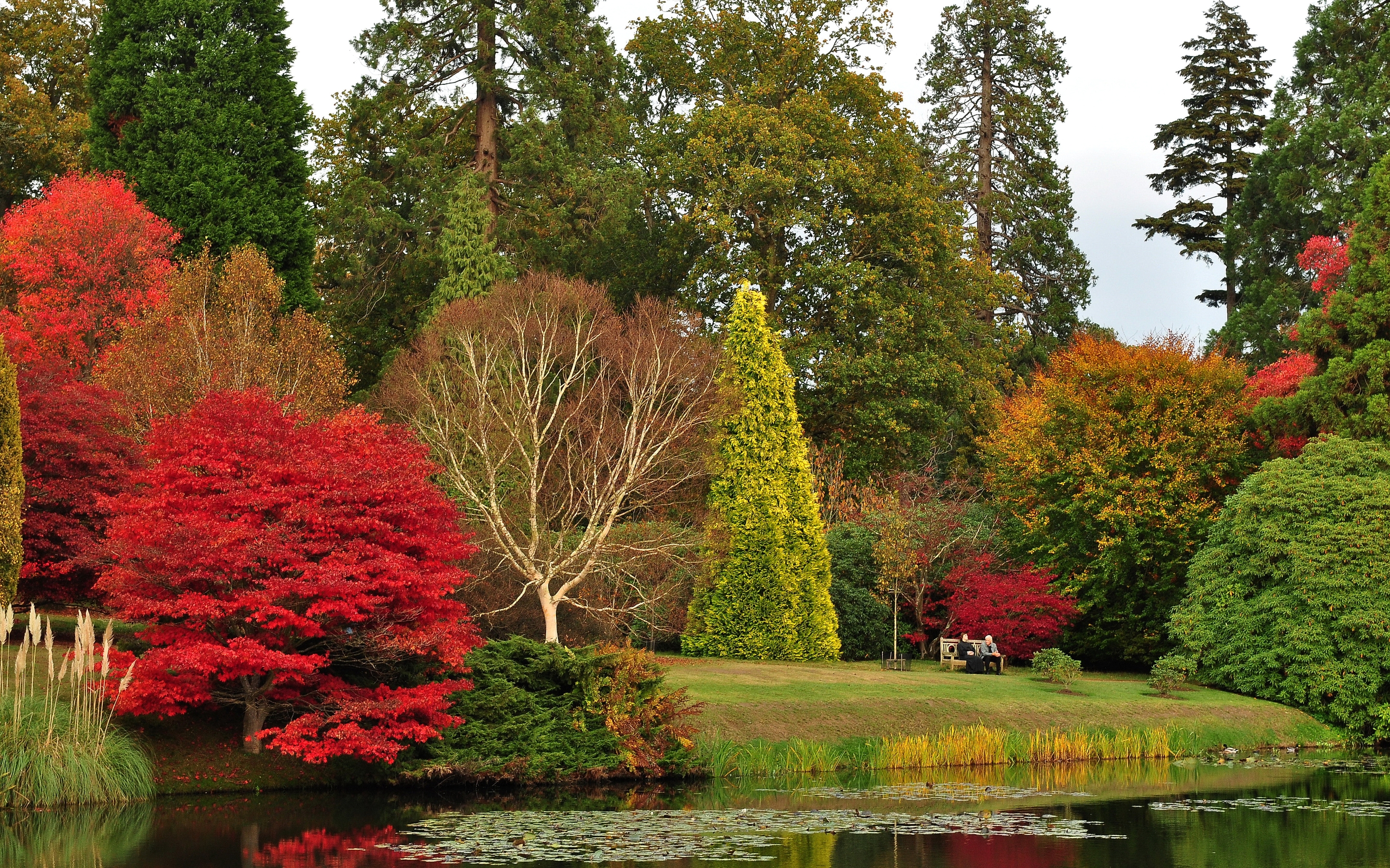 Sheffield Park Garden - HD Wallpaper 