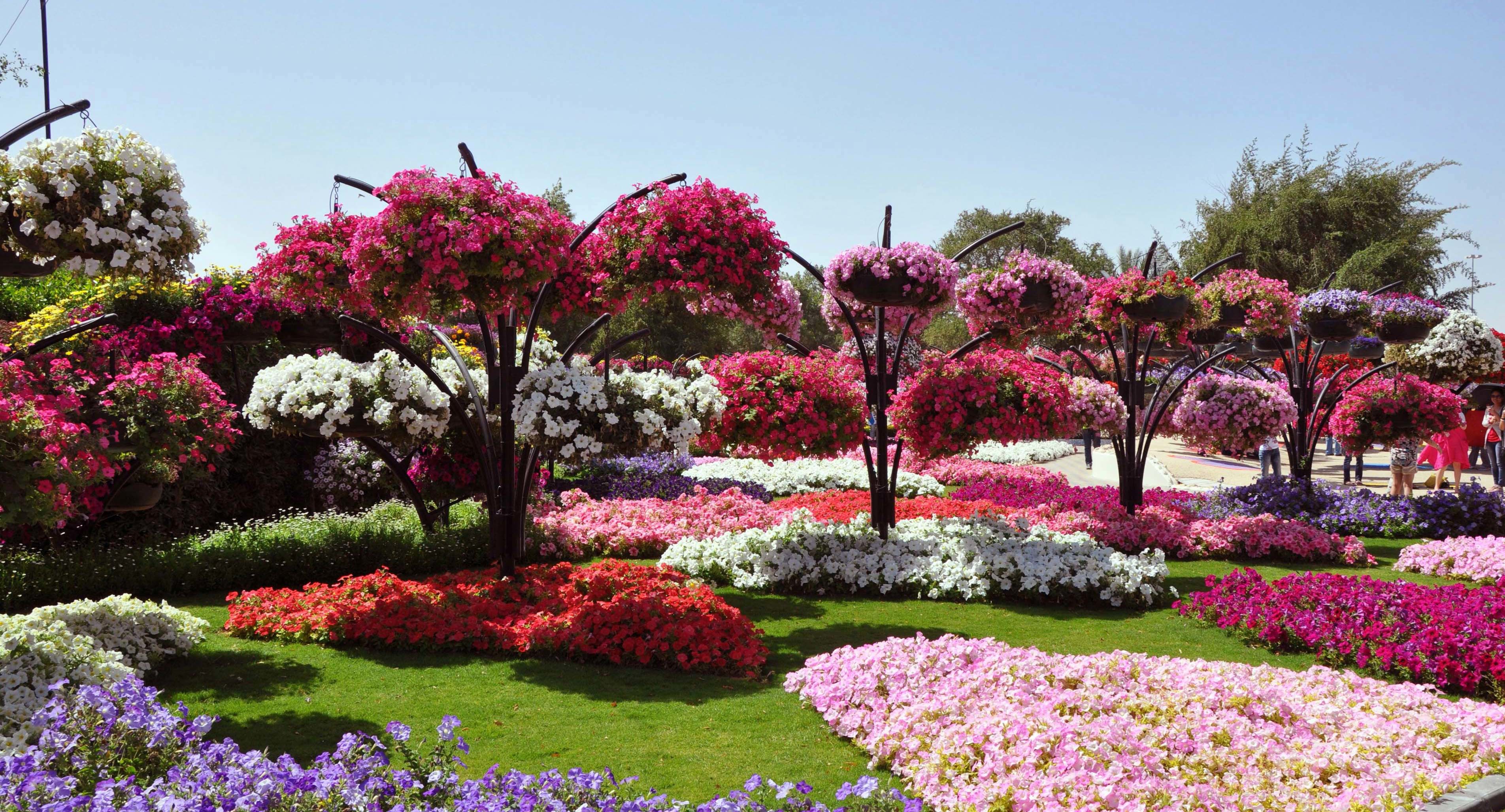 Most Photogenic Gardens Flower Hd Images Morewallpapers - Beautiful Flowers In Garden - HD Wallpaper 