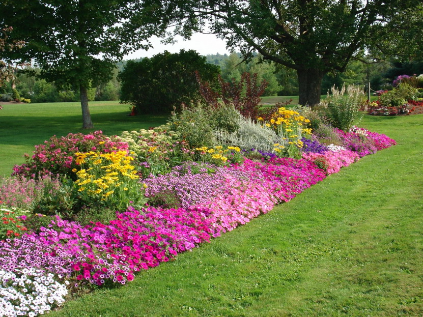 Flower Bed Garden - HD Wallpaper 