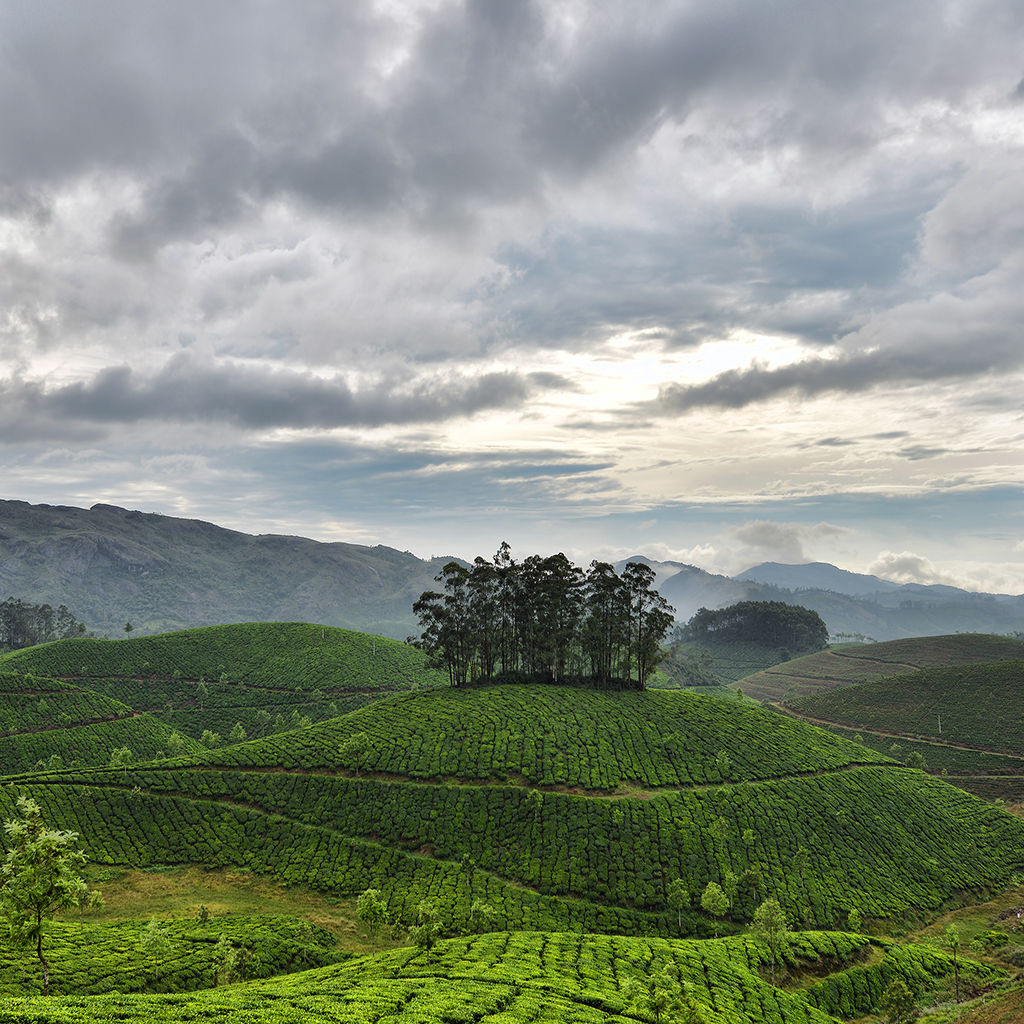 High Resolution Munnar Hd - HD Wallpaper 