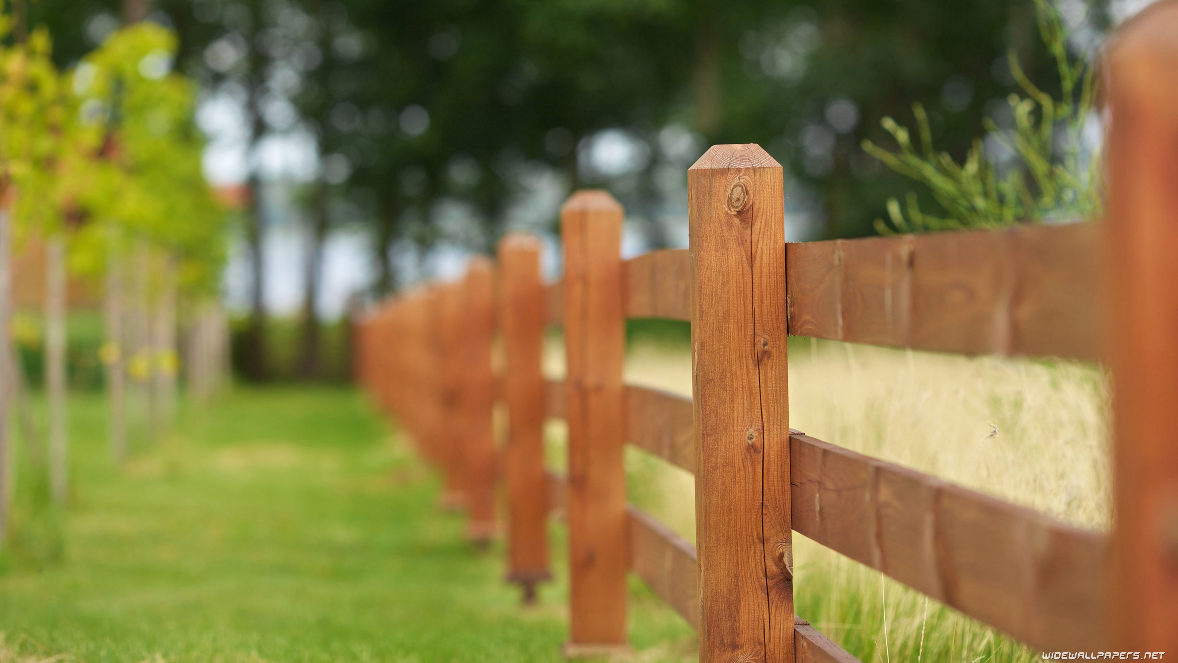 Hd 4k Garden Background - HD Wallpaper 