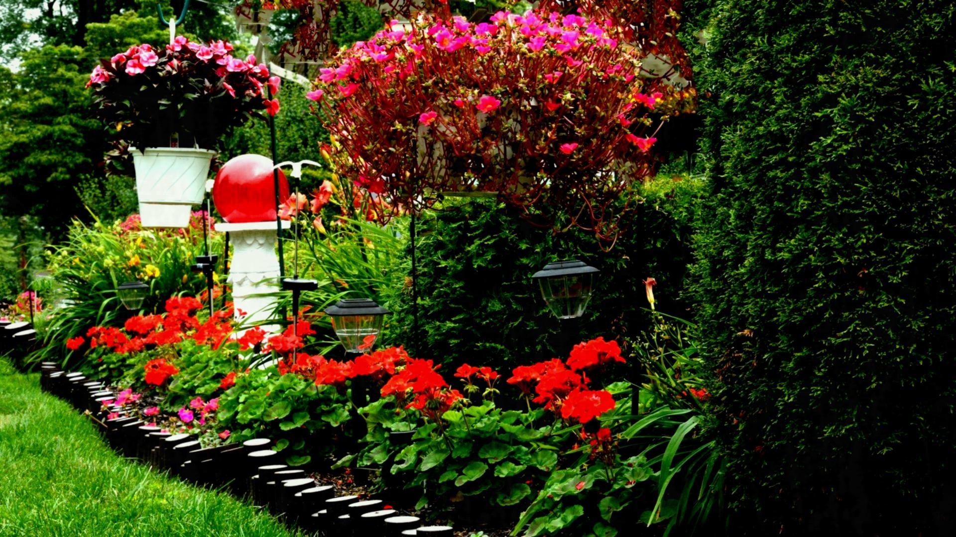 Flower Garden Wallpaper Free Download Http Refreshrose - Begonia - HD Wallpaper 