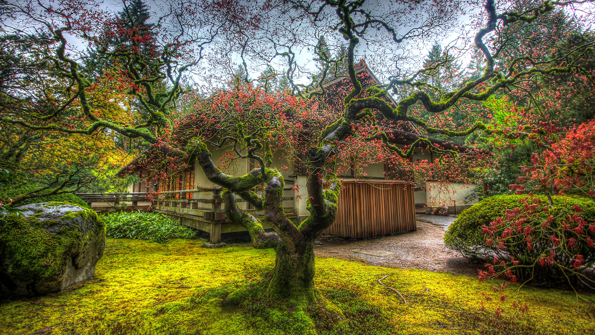 Hd Wallpaper Japanese Garden - HD Wallpaper 