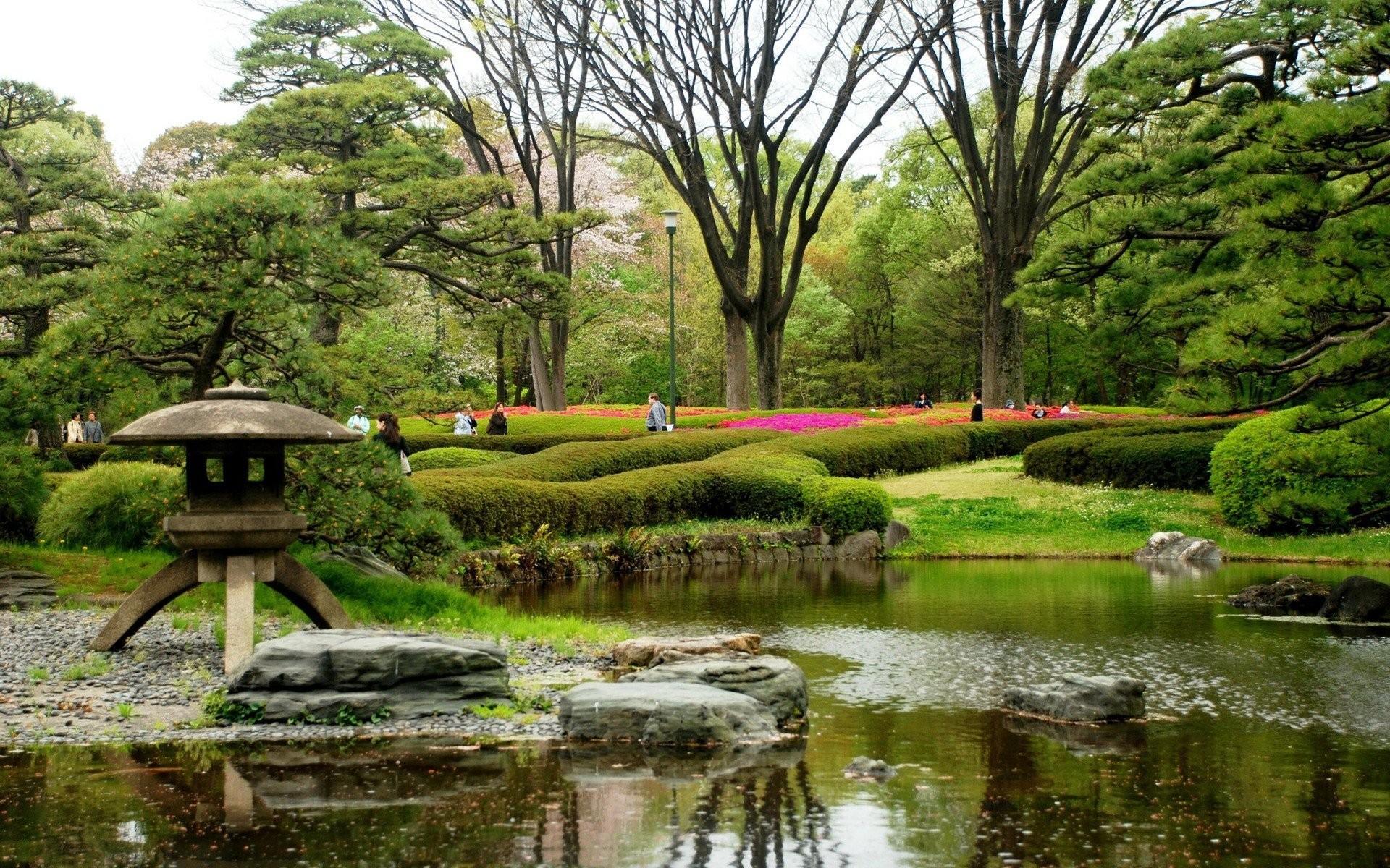 Wallpaper Hd Nature Gardens Trees In Japan - Printemps Au Jardin Japonais - HD Wallpaper 