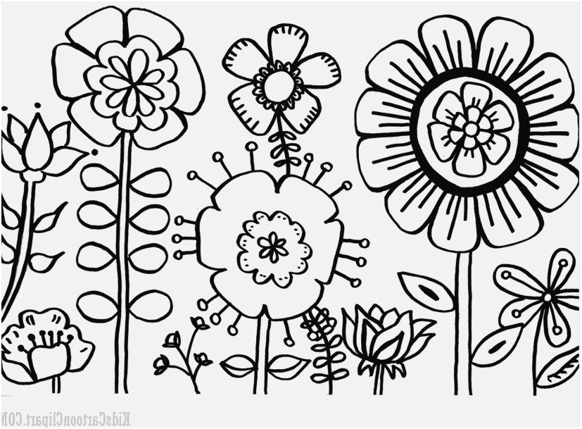 Coloring Pages Flower Garden Images Flower Garden Coloring - Flower Garden Black And White Clipart - HD Wallpaper 