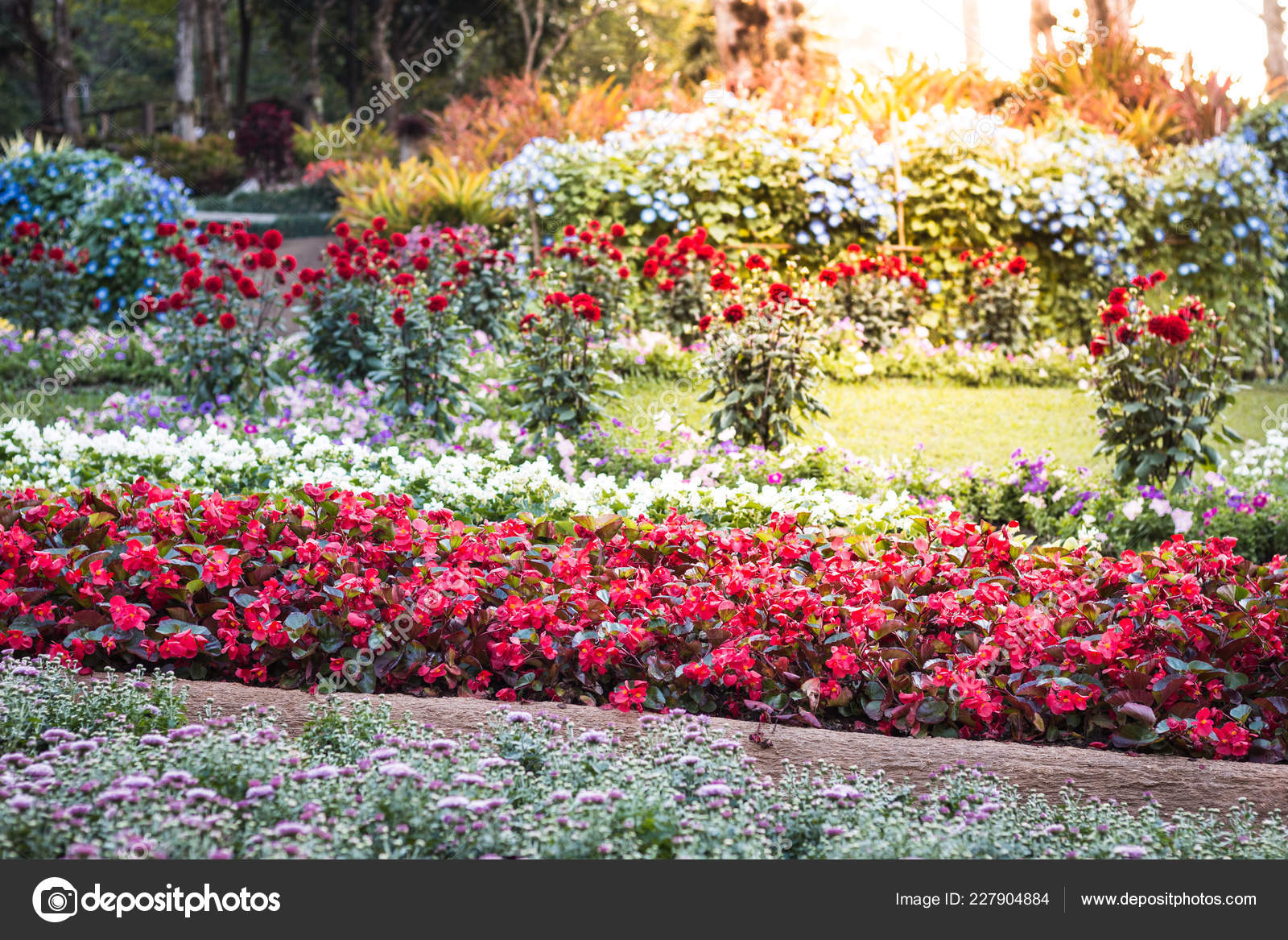 Botanical Garden - HD Wallpaper 