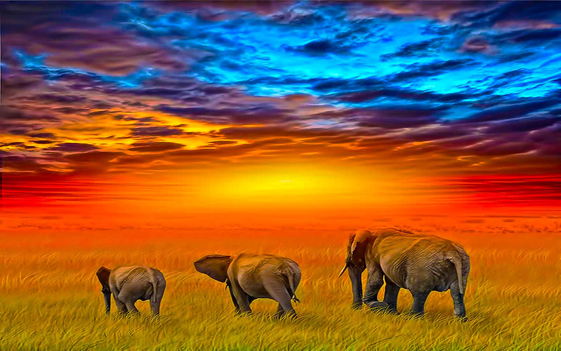 African Background Hd - HD Wallpaper 