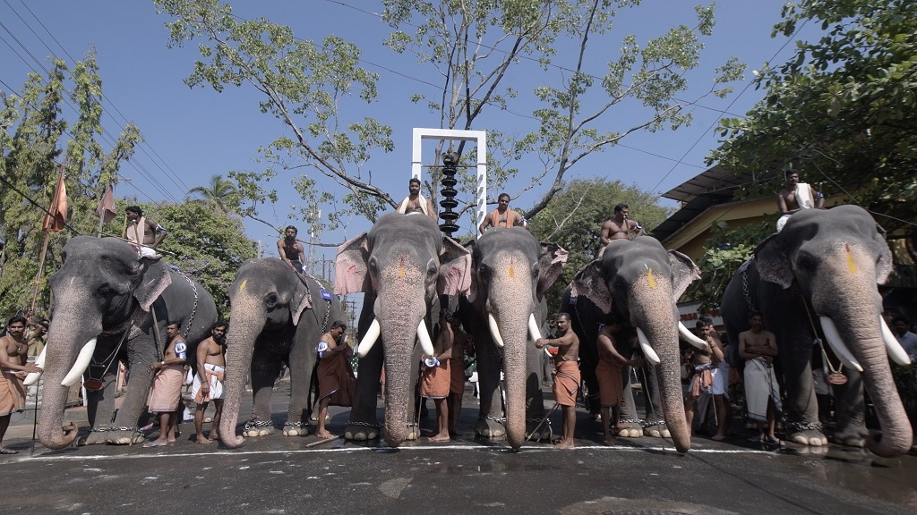 Elephant Race In Kerala - HD Wallpaper 