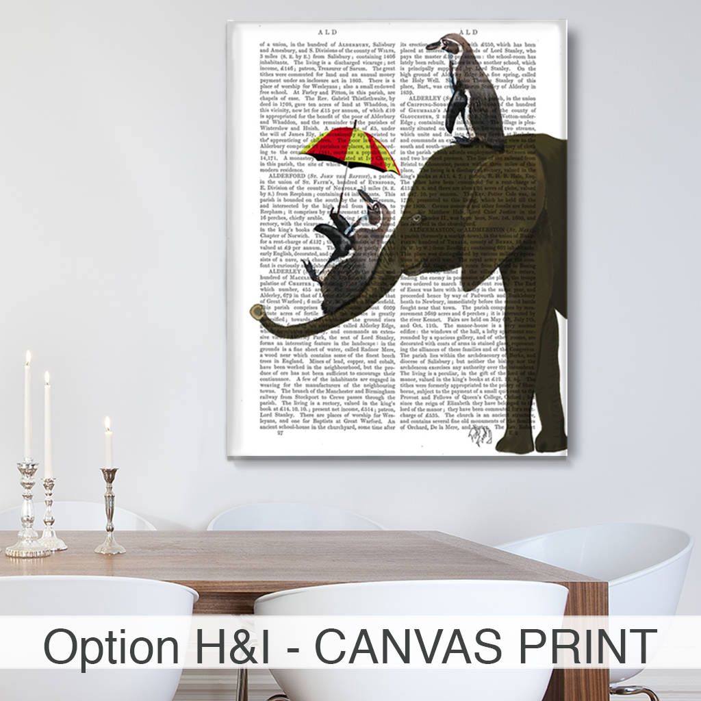 Elephant And Penguin - HD Wallpaper 