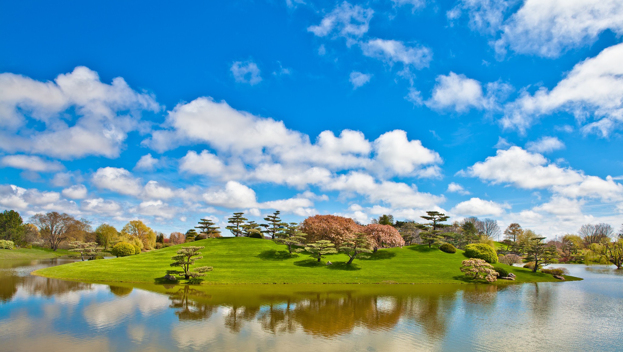 Garden With Water Background - HD Wallpaper 