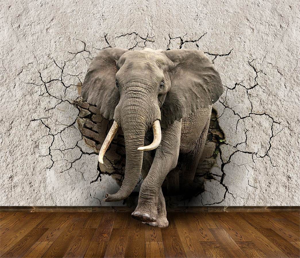 Type2 - Elephant Breaking Through Wall - HD Wallpaper 