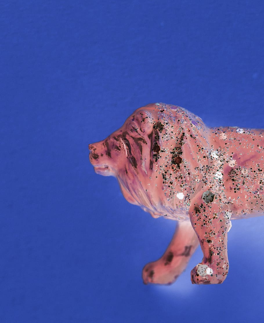 Red Lion Painting, Art, Canvas, Blue, Animal Themes, - Aerial View Of Lion - HD Wallpaper 
