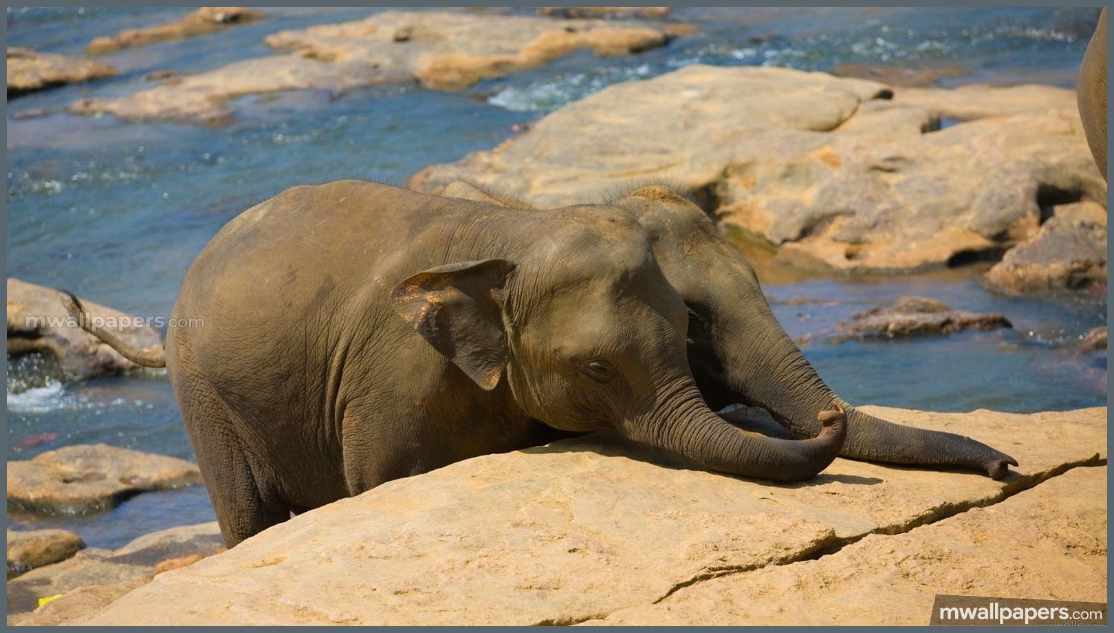 National Geographic Desktop - HD Wallpaper 