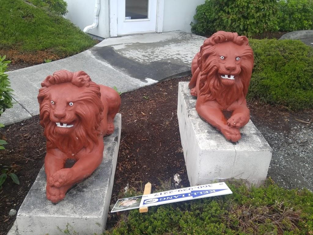 These Lions Have Seen Some Shit - HD Wallpaper 