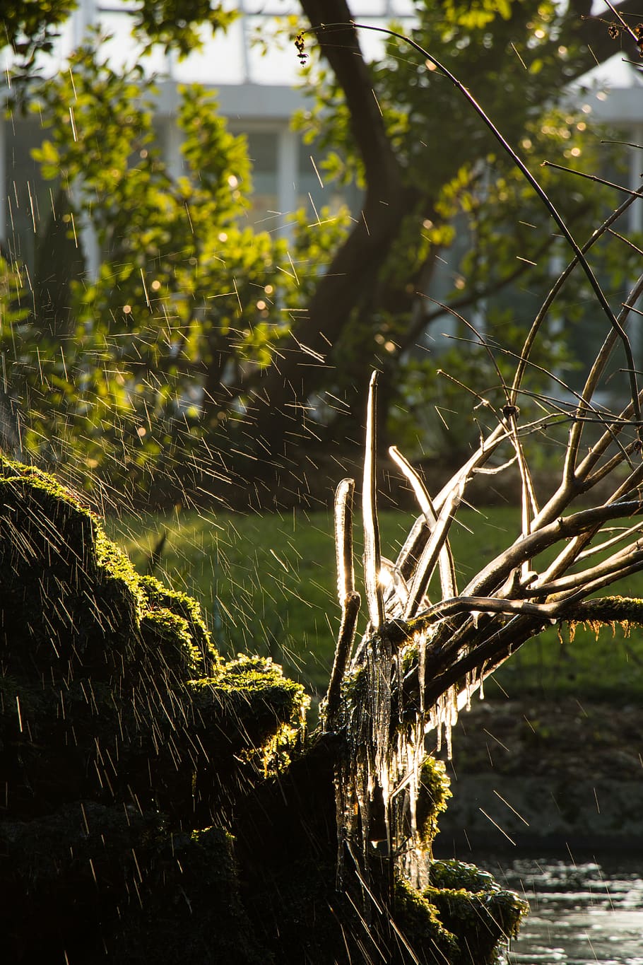 Garden, Cherbourg, Ice, Frozen, Winter, Water, Fountain, - Spider Web - HD Wallpaper 