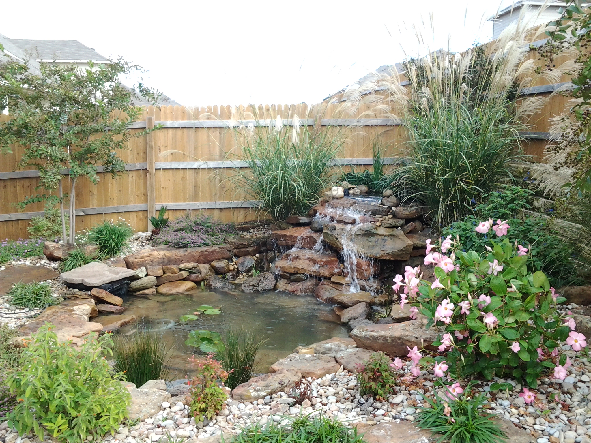 Landscape Design Water Garden Austin Tx - HD Wallpaper 