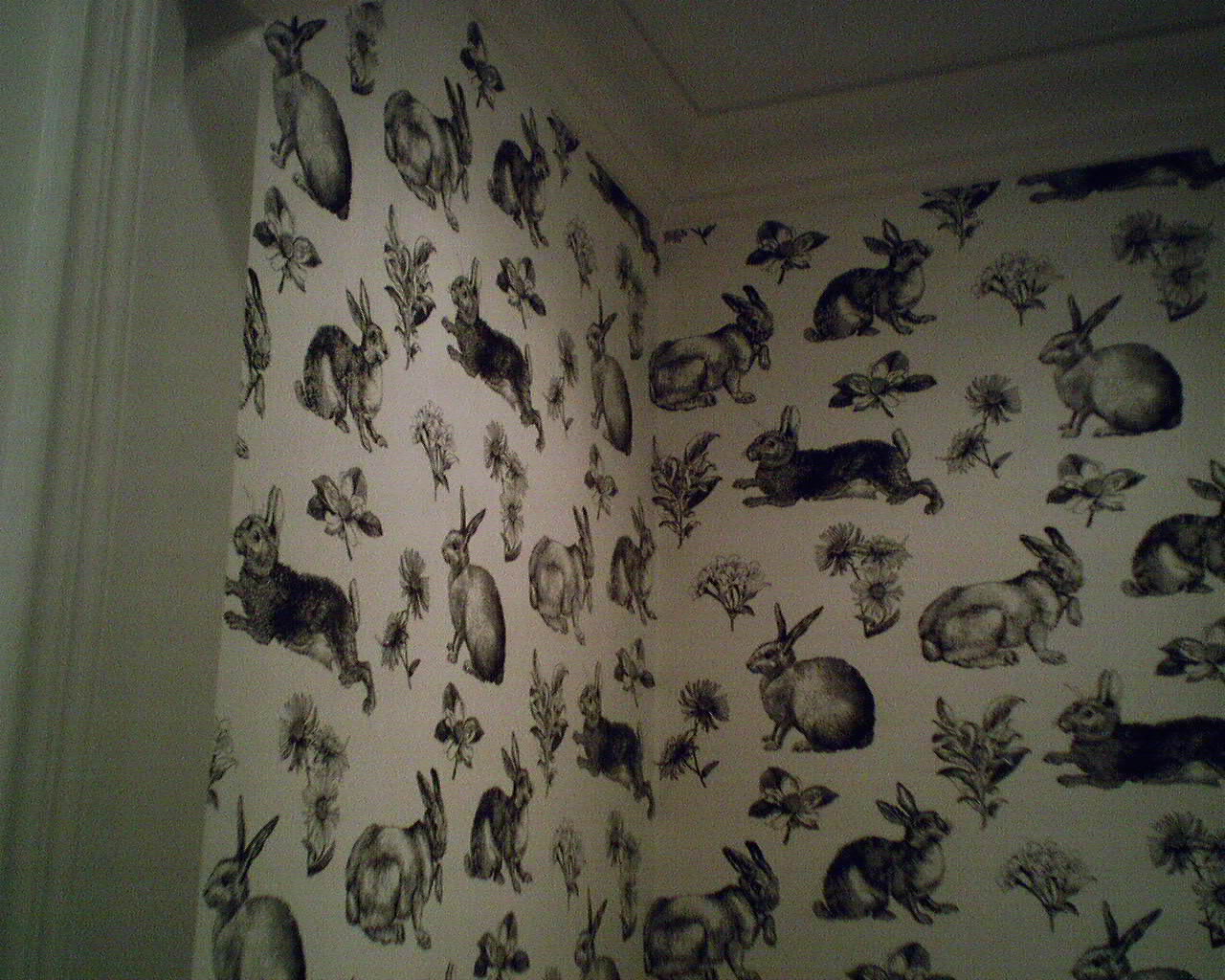 Digital Image - Bunny Wallpaper By York - HD Wallpaper 