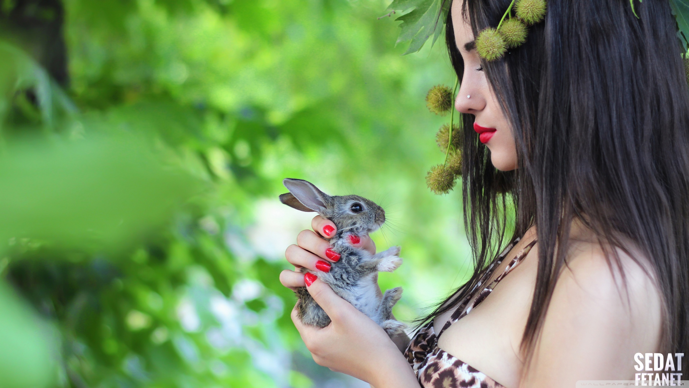 Girl Rabbit - HD Wallpaper 