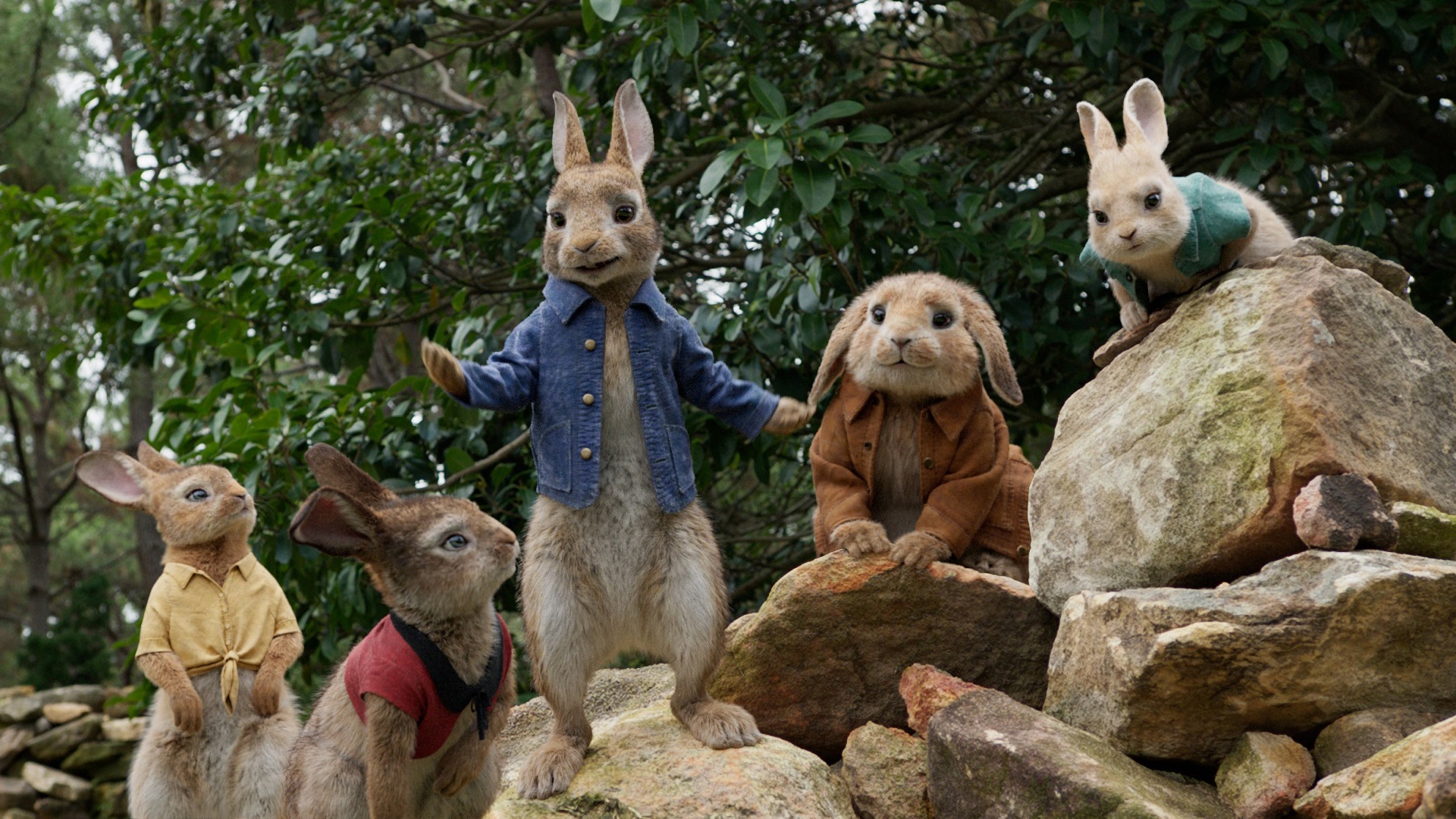Peter Rabbit Movie The Rabbit Kin Peter Rabbit 2018 Benjamin Bunny