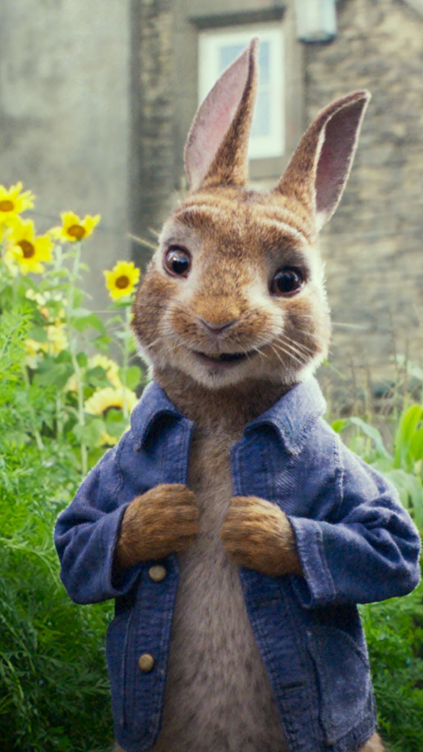 Peter Rabbit Hereditary Head - HD Wallpaper 