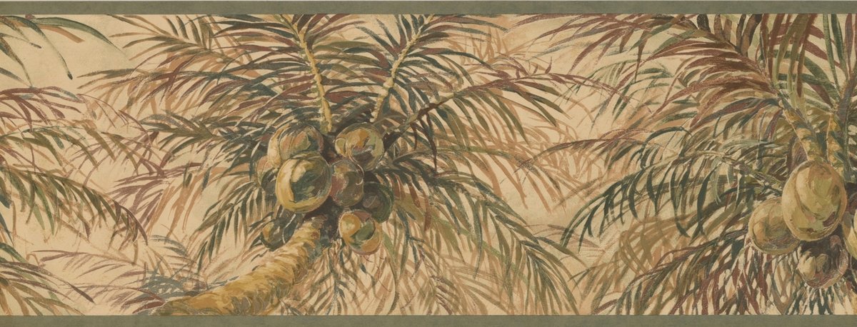 Attalea Speciosa - HD Wallpaper 