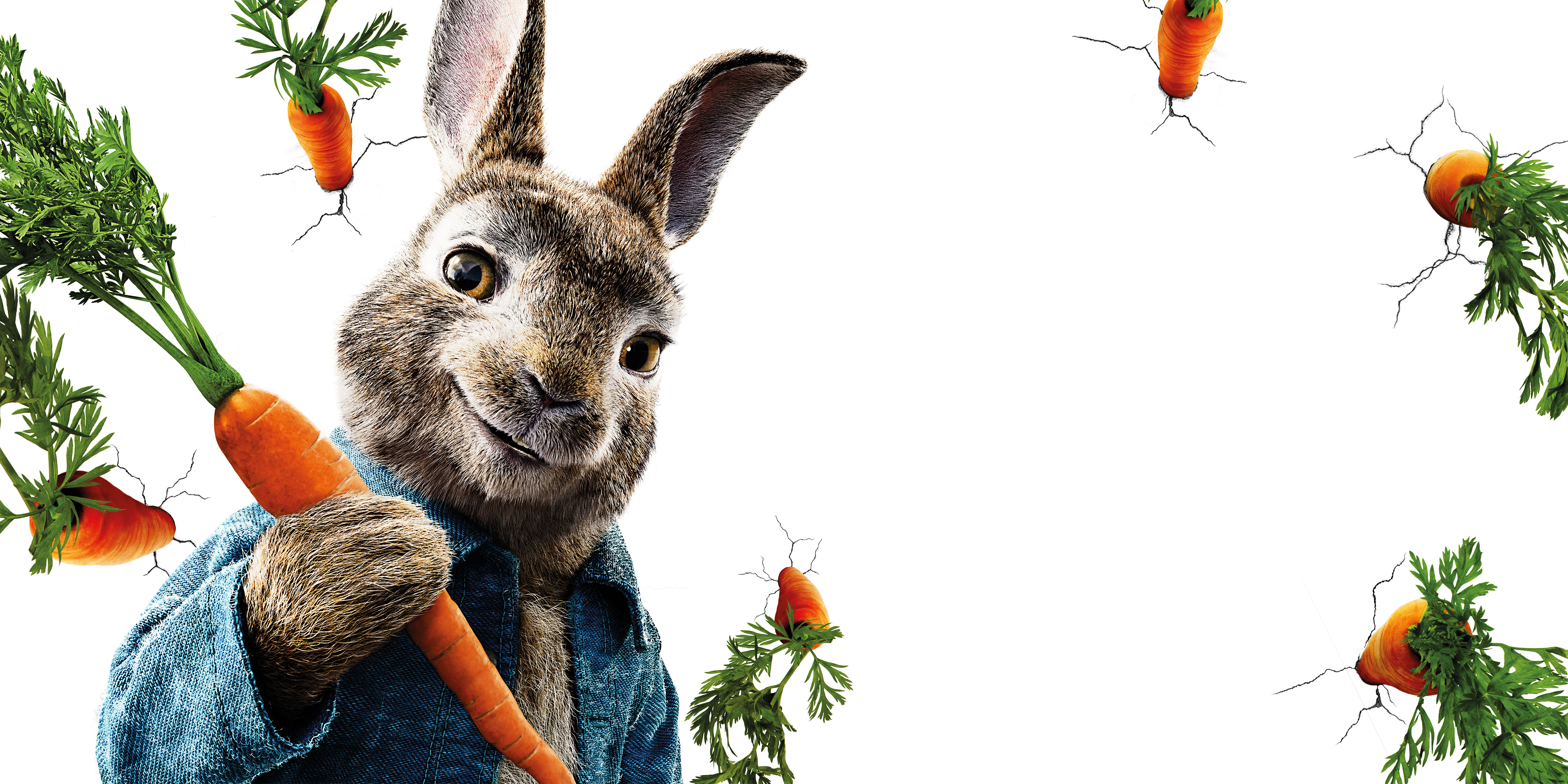 Peter Rabbit Wallpaper Hd - HD Wallpaper 