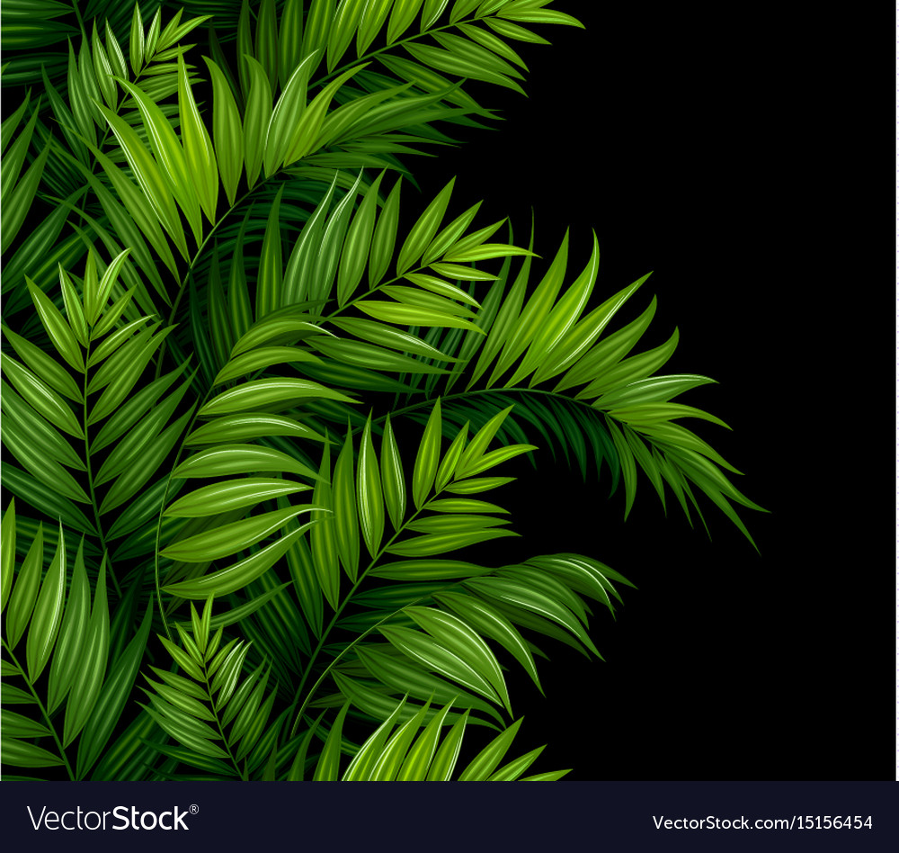 Tropical Palm Leaves Pattern - HD Wallpaper 