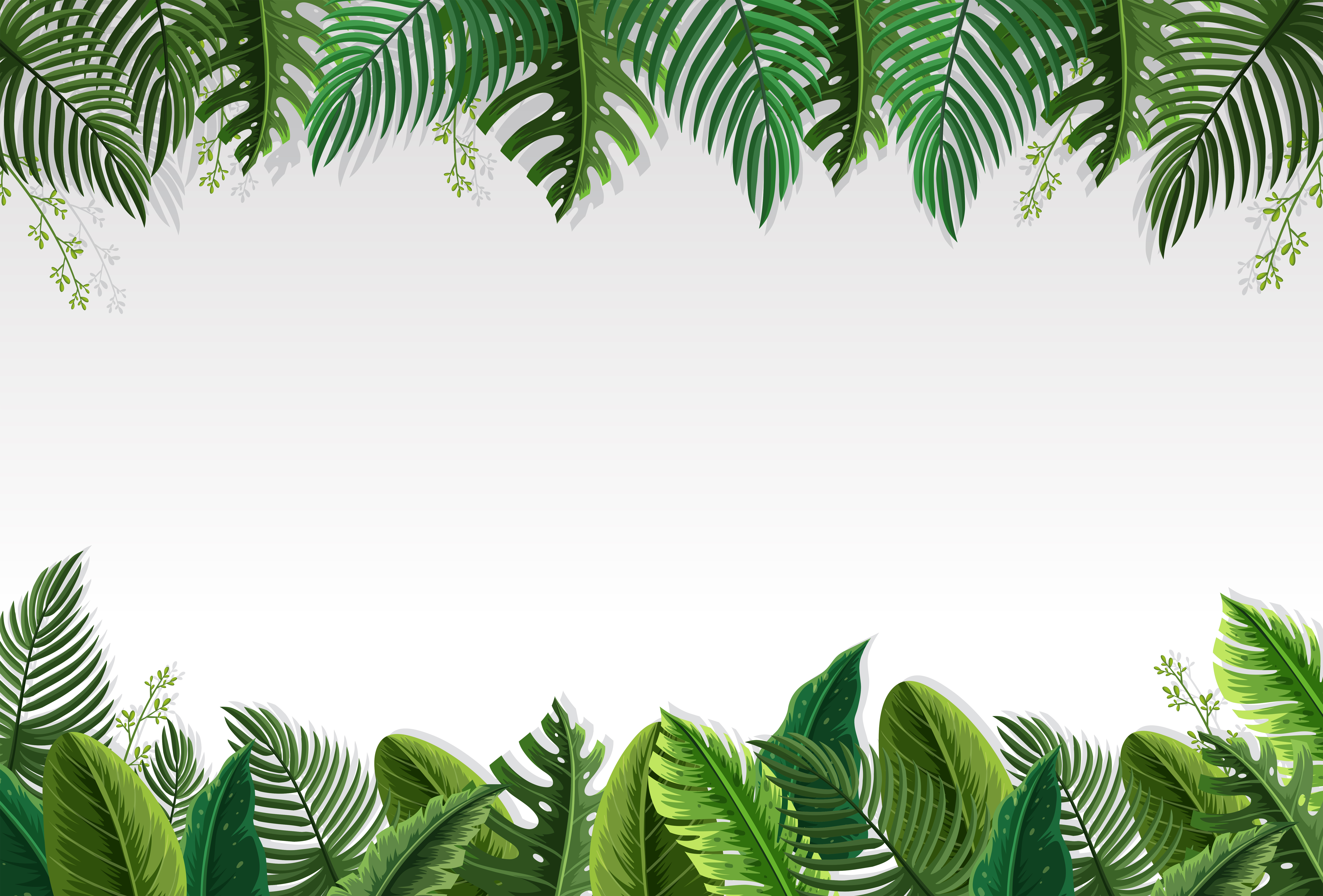 Jungle Leaf Border - HD Wallpaper 