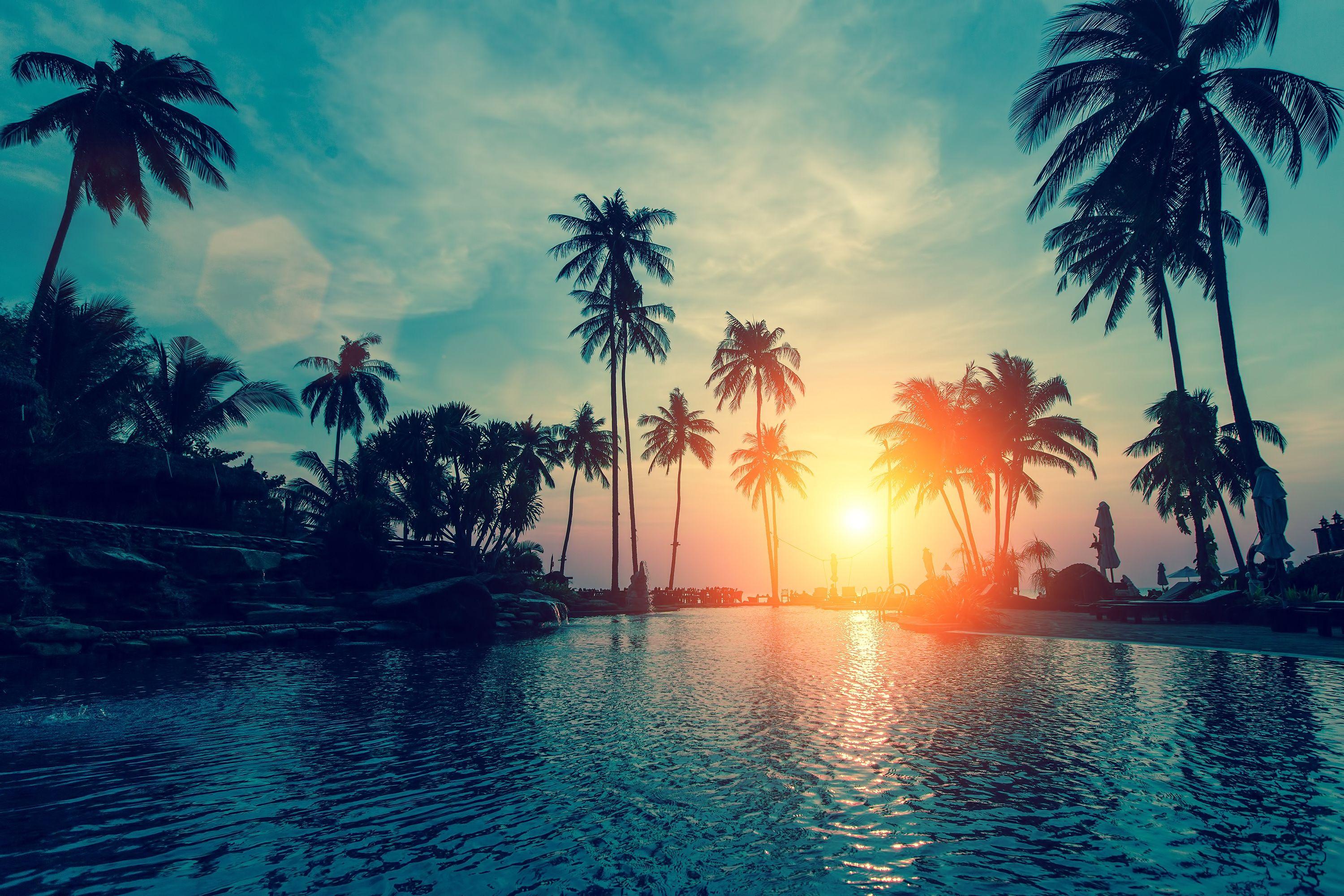 Palm Tree Backgrounds - Beach Sunset Palm Trees - HD Wallpaper 