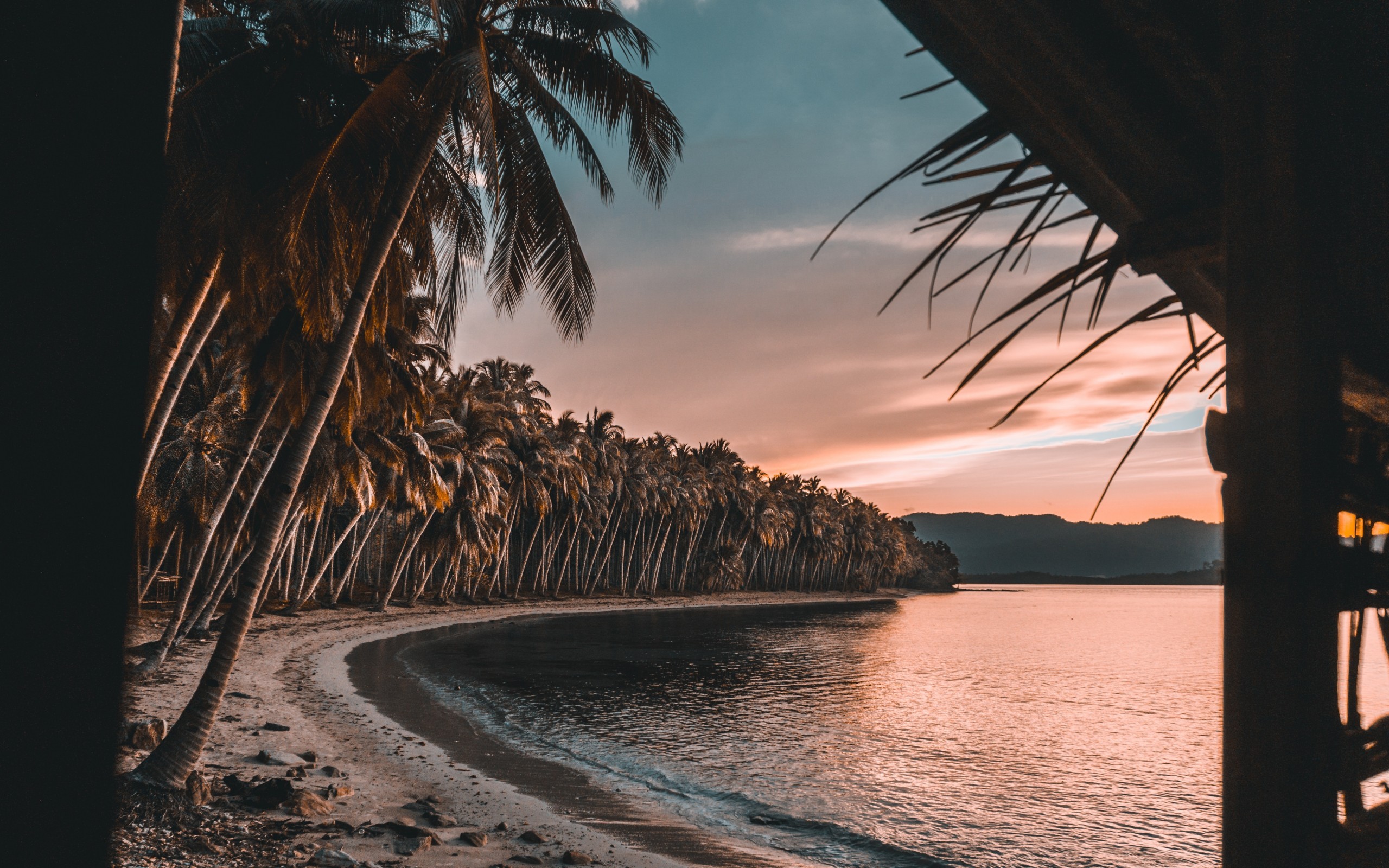 Palm Trees, Holiday, Island, Beach, Sunset - Palm Trees Wallpaper Beach Sunset - HD Wallpaper 