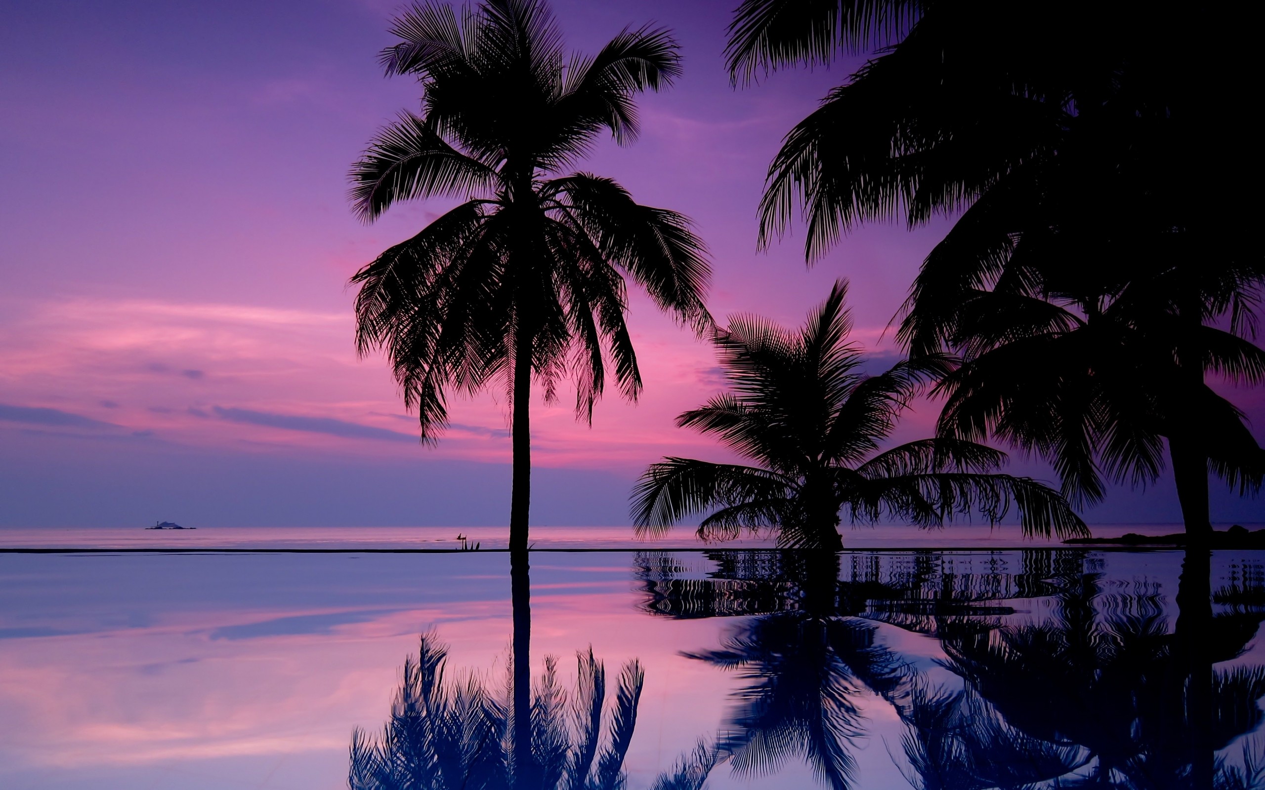 Sunset Palm Trees Iphone Wallpaper 
 Data-src - Purple Wallpaper Palm Tree - HD Wallpaper 