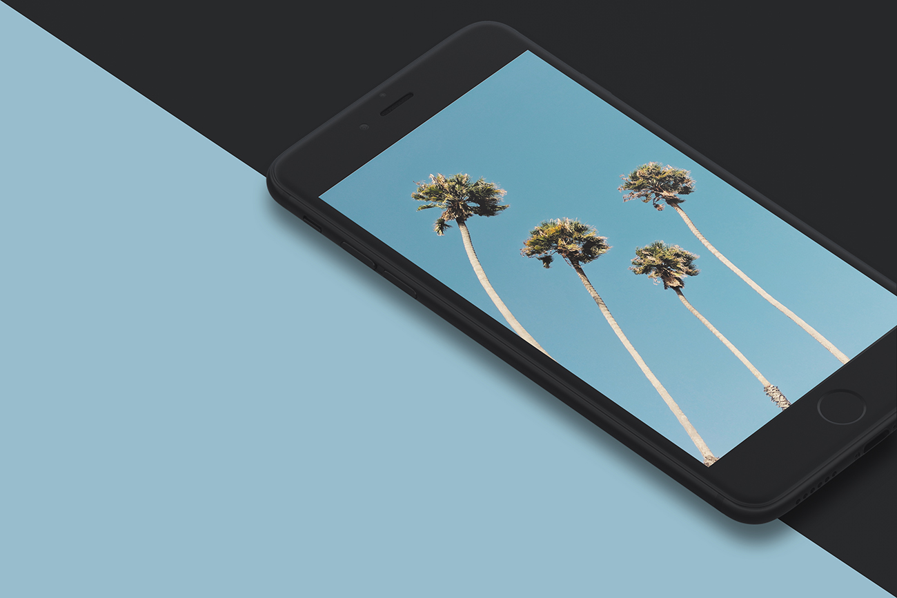 Https - //www - Instagram - Com/abduzeedo/ - Palm Tree - HD Wallpaper 