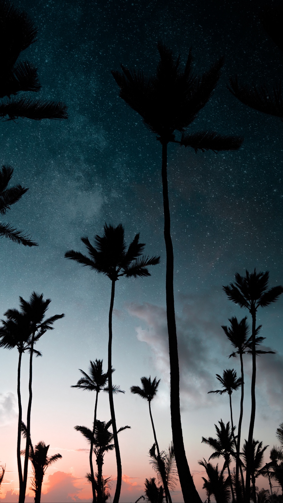 Wallpaper Palm Trees, Starry Sky, Night, Silhouettes, - Palm Tree Wallpaper Dual - HD Wallpaper 