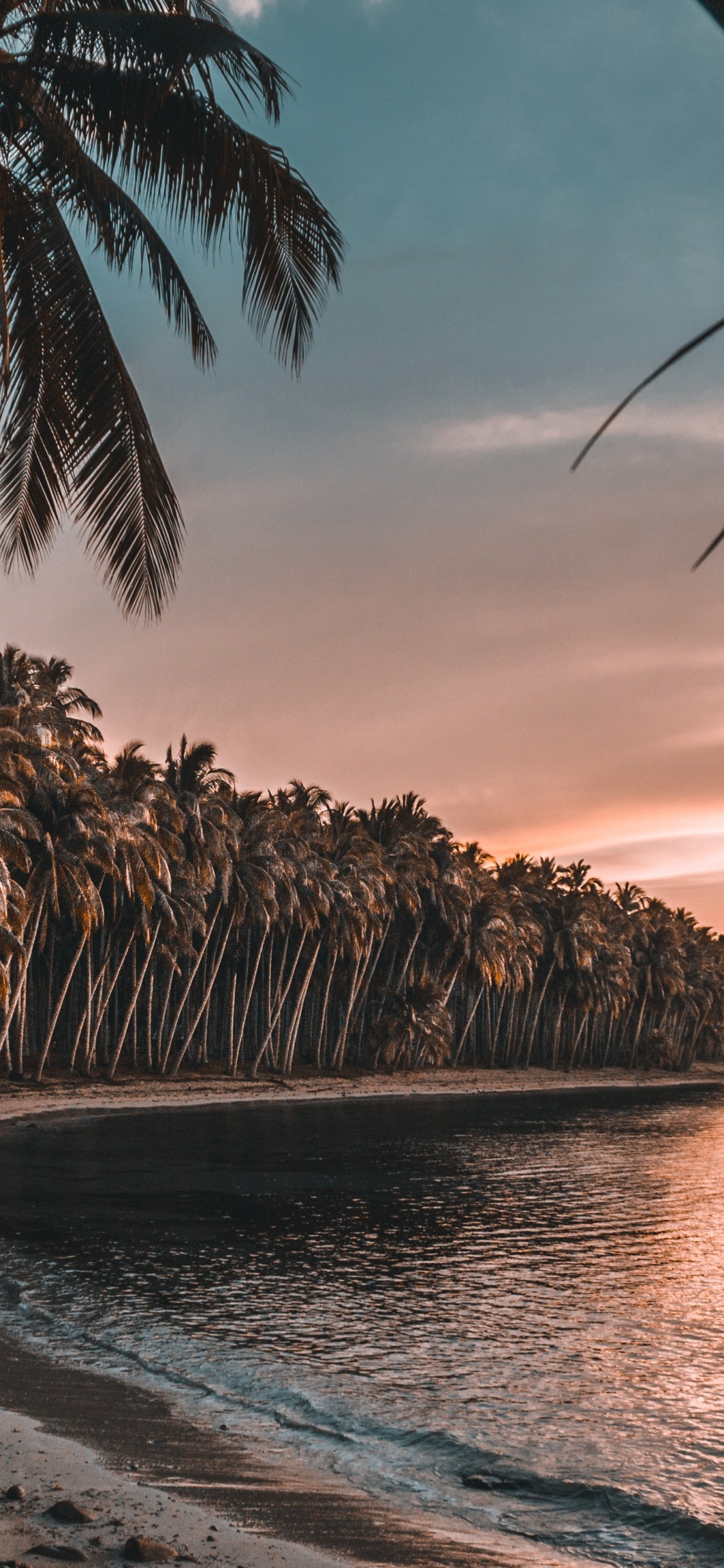 Palm Trees, Holiday, Island, Beach, Sunset - Palm Trees Wallpaper Beach Sunset - HD Wallpaper 