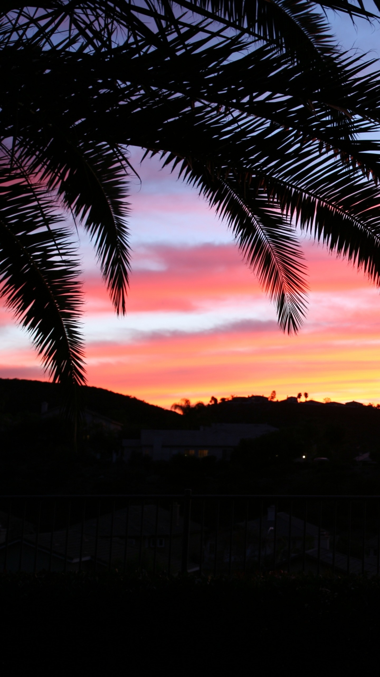 Wallpaper Palm Tree, Sky, Sunset 
 Data-src - 4k Palm Trees Background - HD Wallpaper 