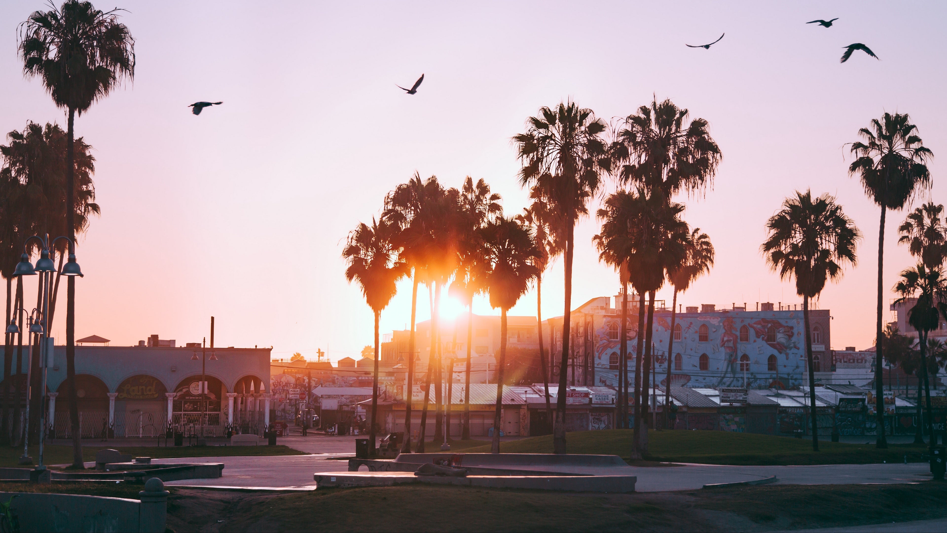 Venice Beach - HD Wallpaper 