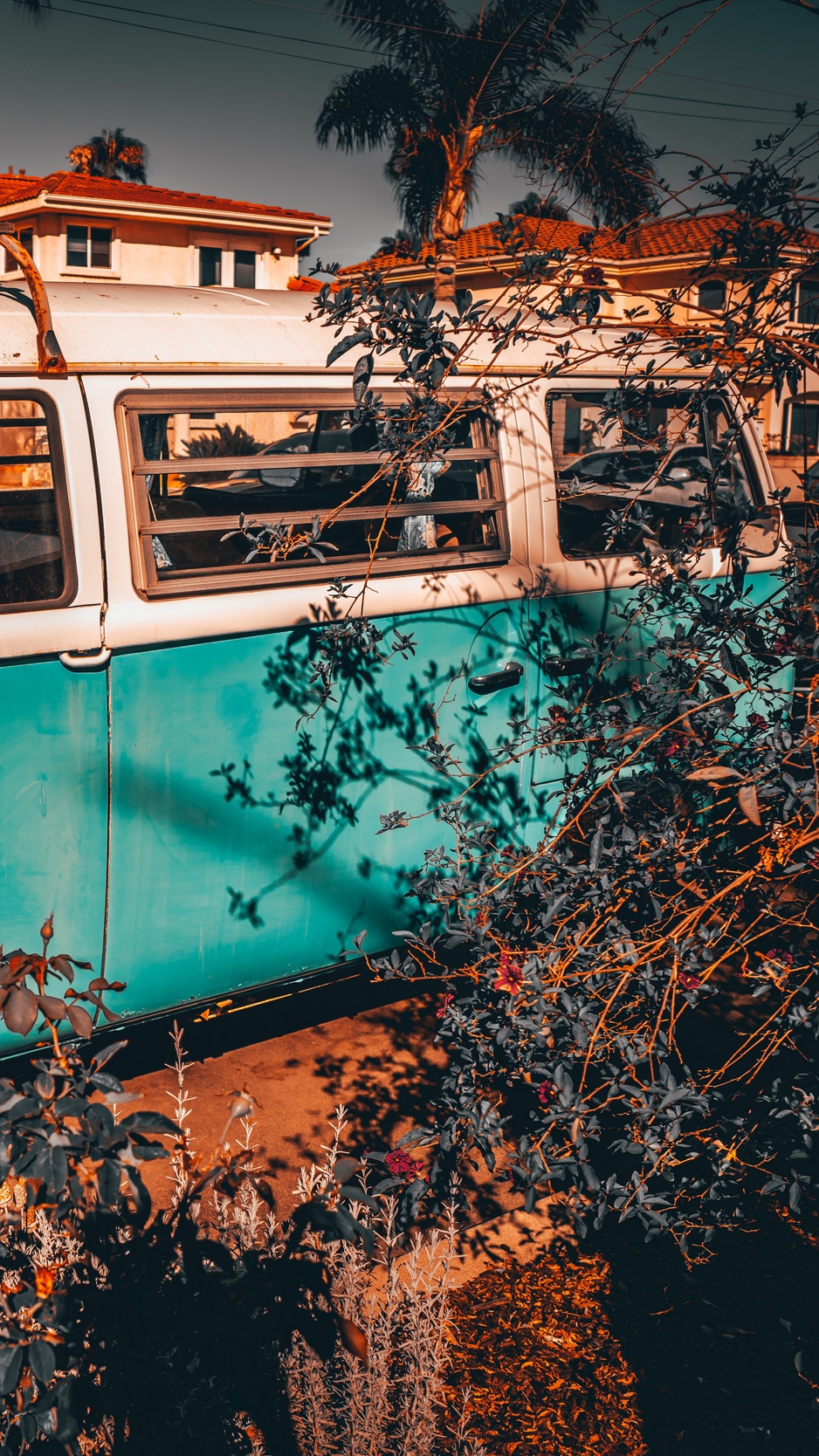 Wallpaper Bus, Branches, Trip, Palm Tree - HD Wallpaper 