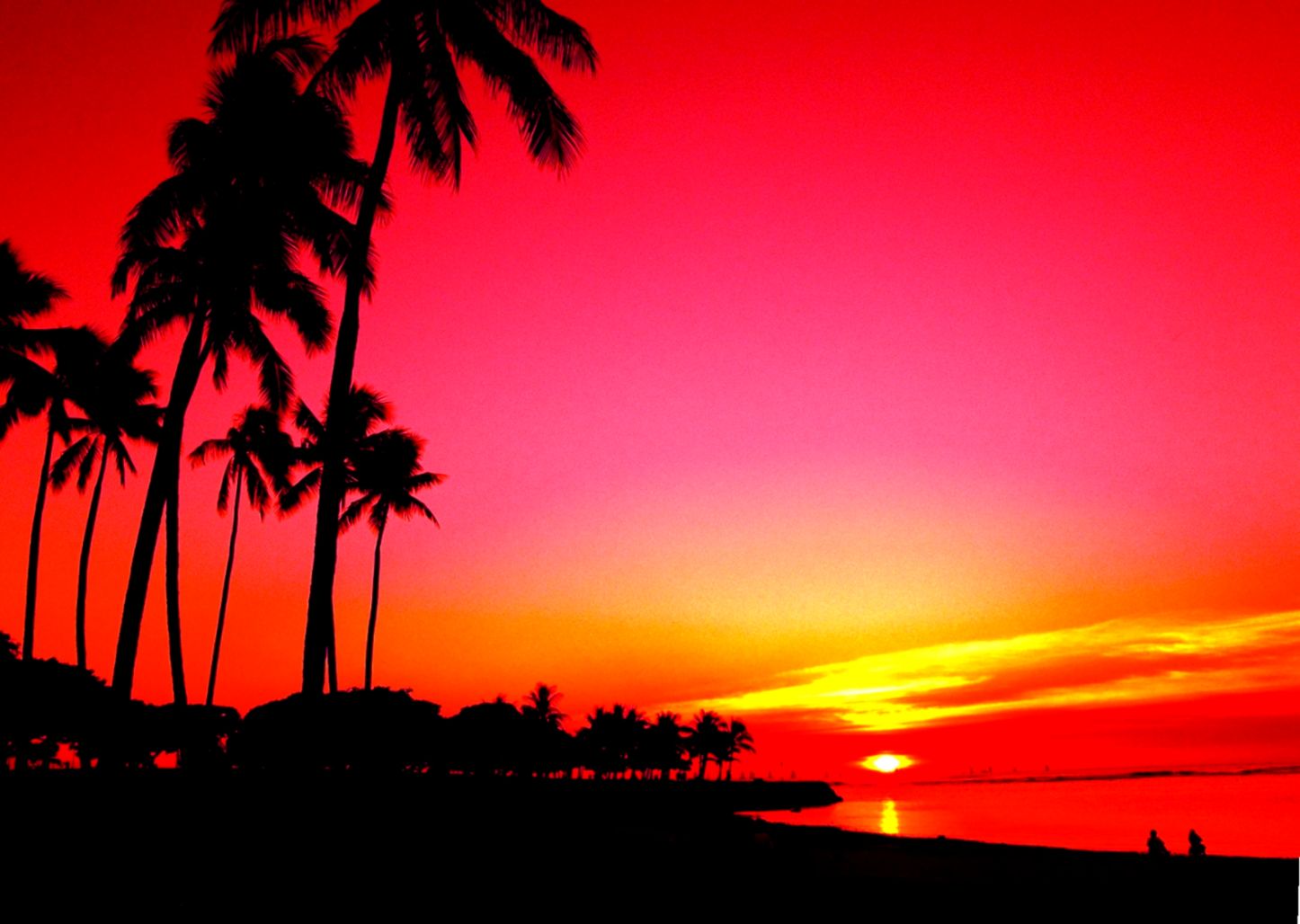 Palm Tree Sunset Wallpapers - Miami Here I Come - HD Wallpaper 