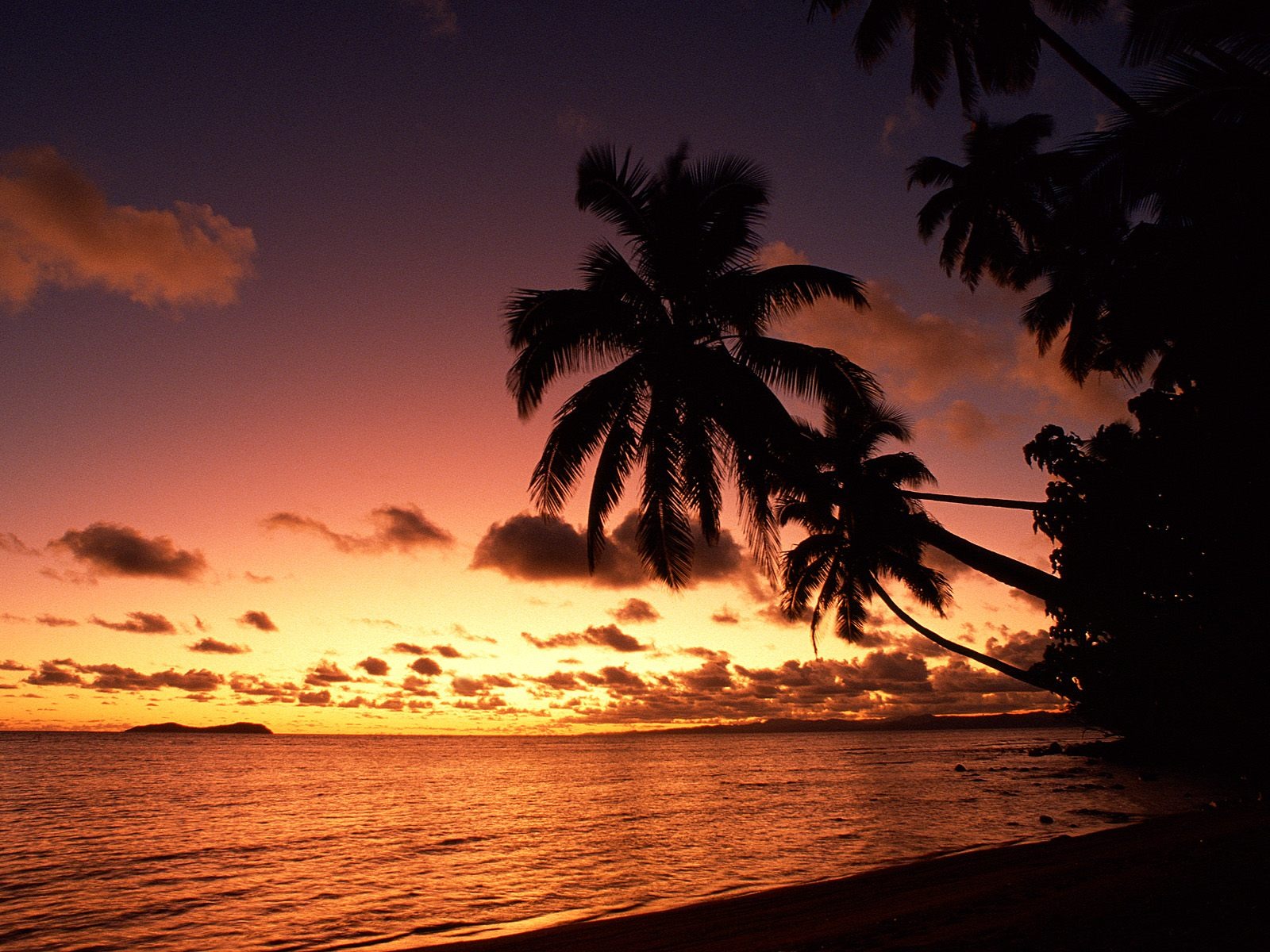 Palm Tree Sunset Wallpaper - Sun Set In Fiji - HD Wallpaper 