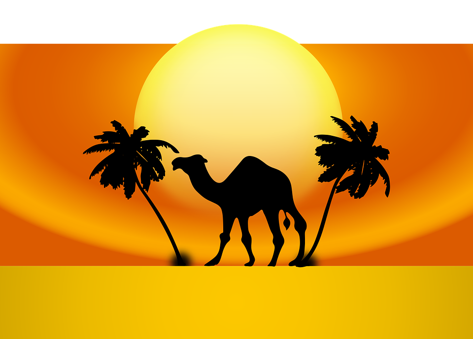 Ship And Palm Tree, Aljanh - Camel Head Silhouette Png - HD Wallpaper 