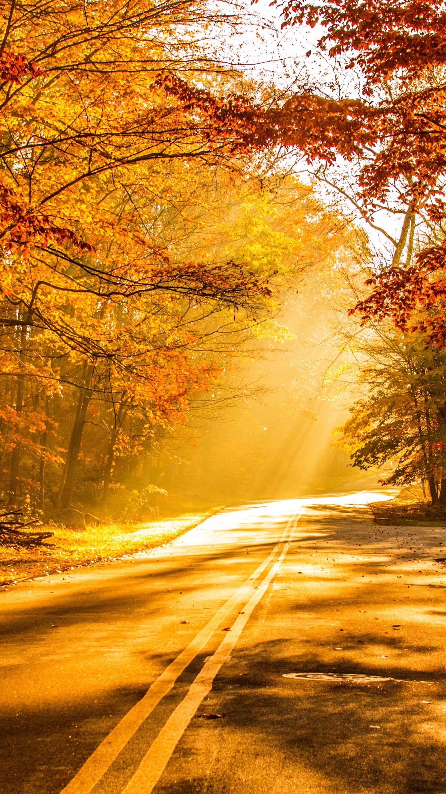 Golden Wallpapers For Samsung - HD Wallpaper 