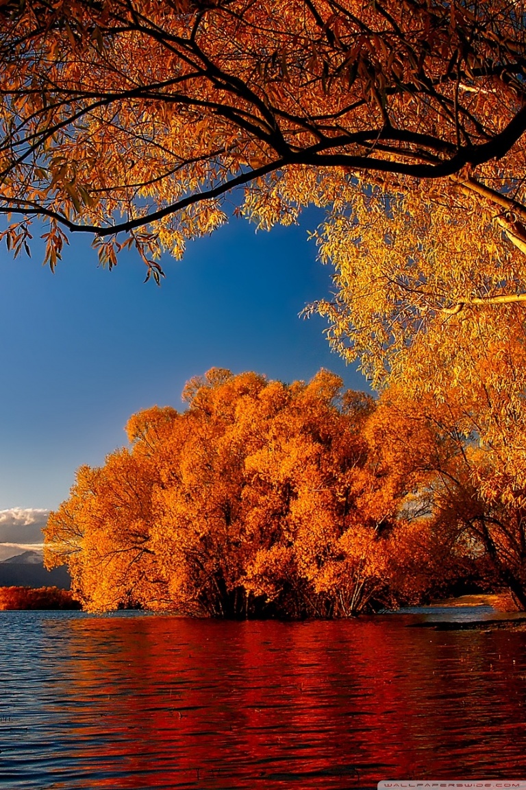 4k Fall Wallpaper - 768x1152 Wallpaper 4k Fall Wallpaper - 768x1152 Wallpaper