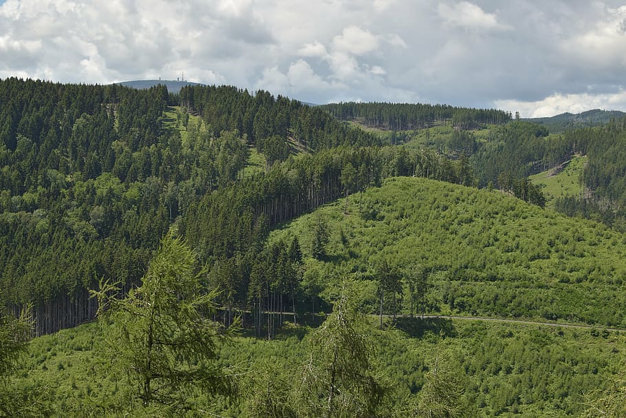 Landscape, Boulder, Mountains, Survey, Forest, Clouds, - Shortleaf Black Spruce - HD Wallpaper 