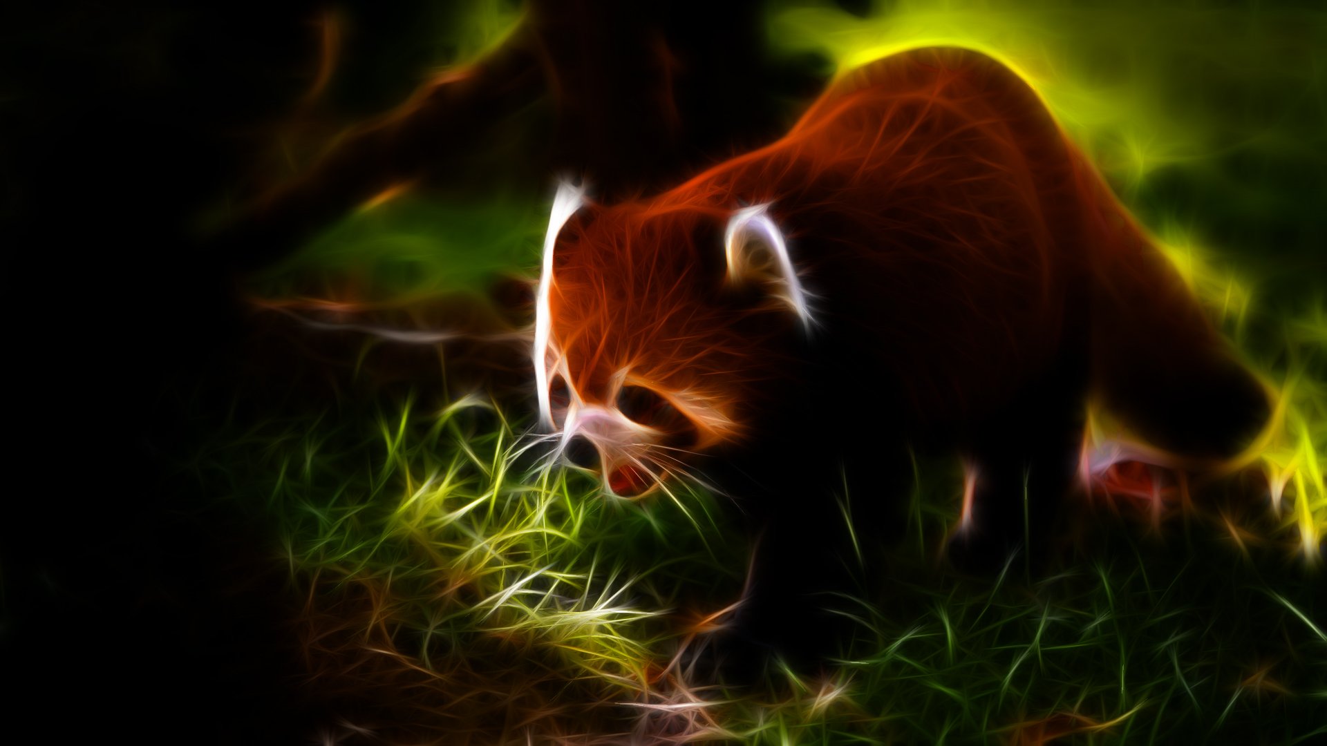 Red Panda Wallpaper Art - HD Wallpaper 